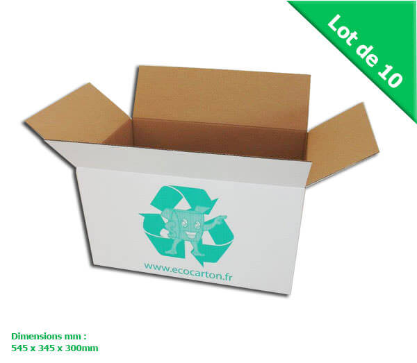 - PETIT CARTON DEMENAGEMENT (BLANC) POUR LIVRES - PETIT CARTON DEMENAGEMENT (BLANC) POUR LIVRES